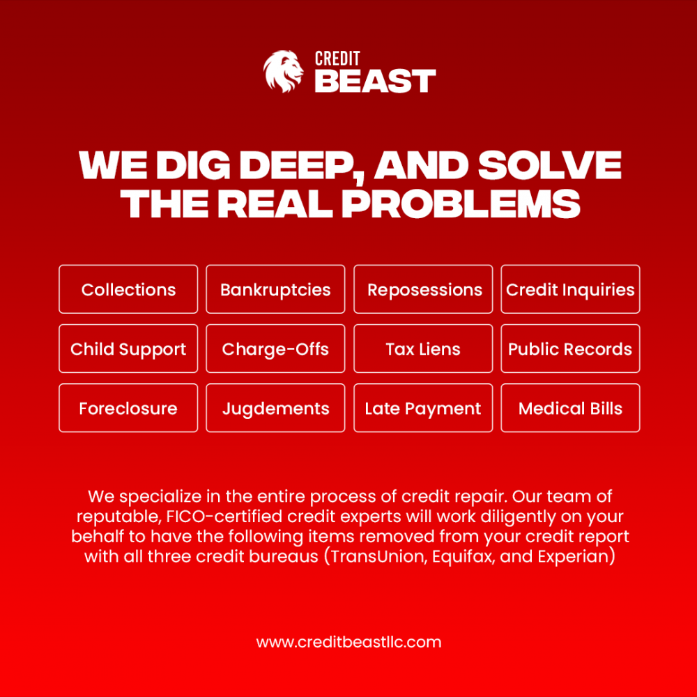 Credit Beast Content Creation by Wise Media